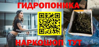 индика Тулун