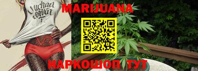индика Тулун