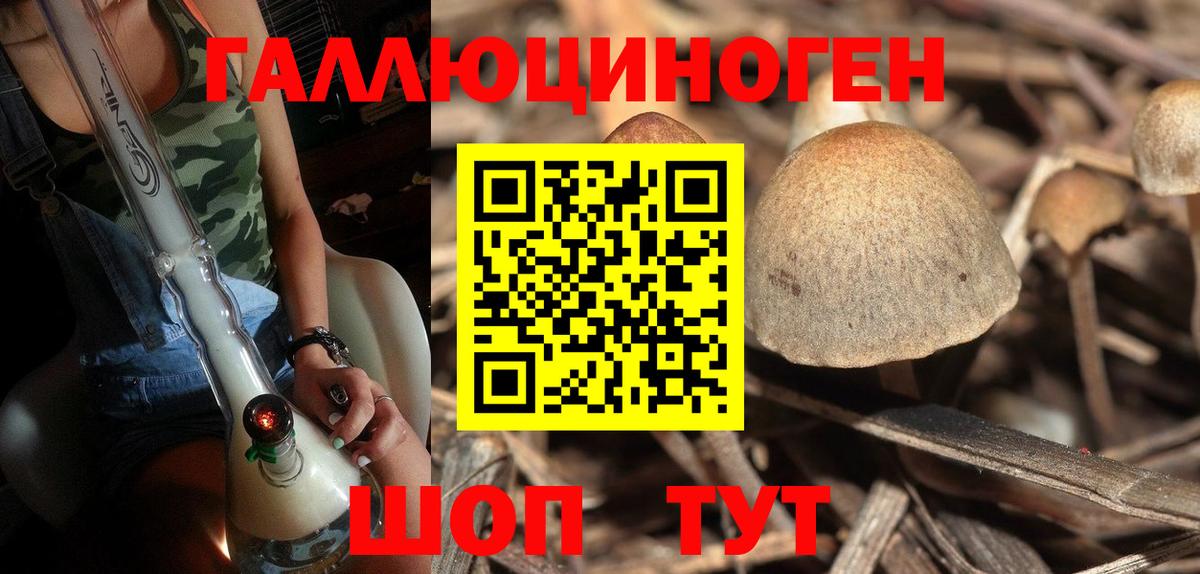 Псилоцибиновые грибы прущие грибы Павловский Посад